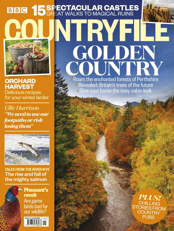 BBC Countryfile 乡村档案杂志NOVEMBER2019