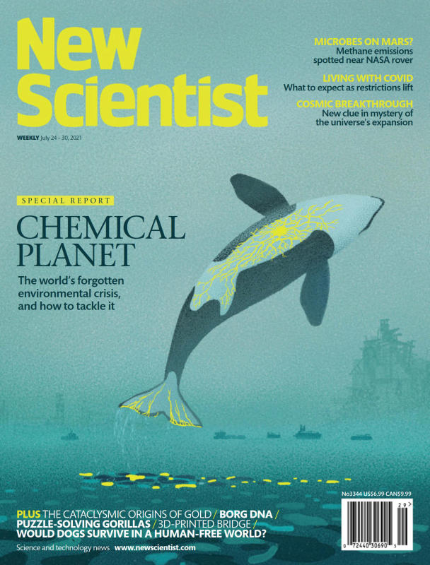 New Scientist 新科学家杂志 20210724（JULY 24-30 2021）