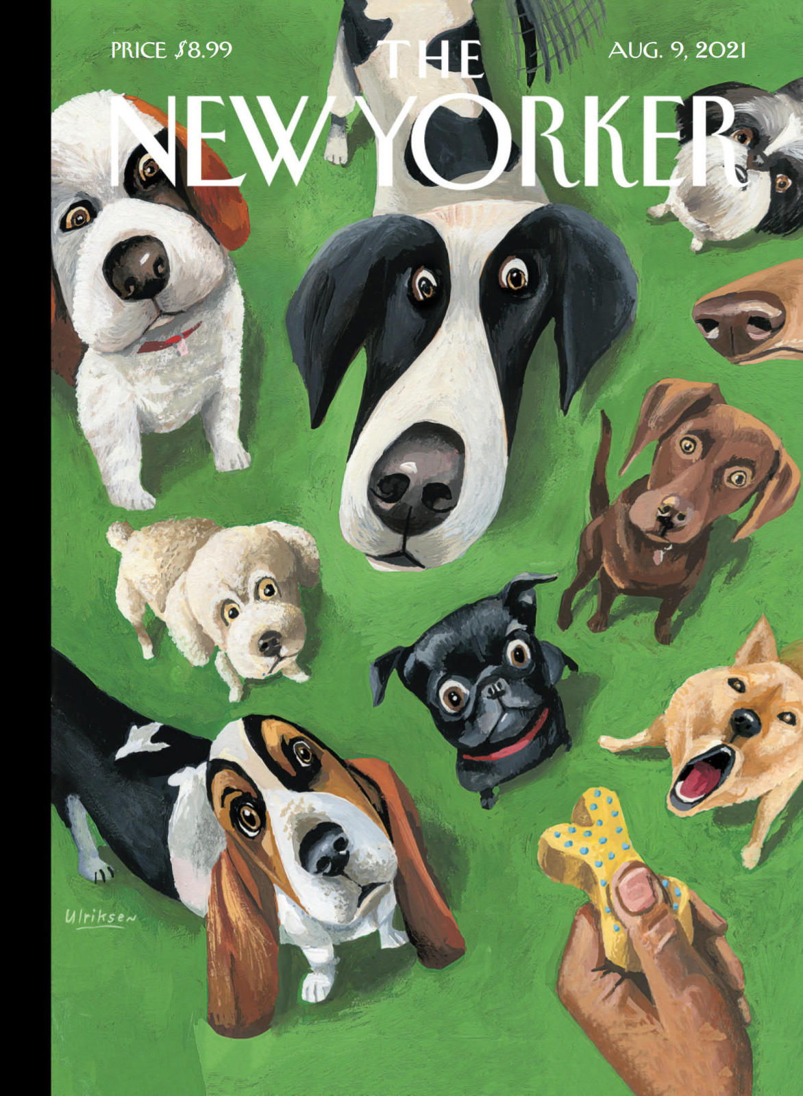 纽约客杂志 The New Yorker 20210809（AUG 9 2021）
