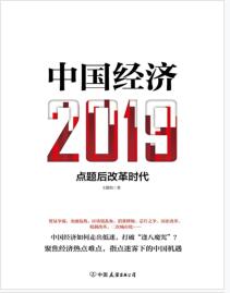 《中国经济2019：点题后改革时代》王德培mobi+epub+azw3+pdf+txt+word电子书下载