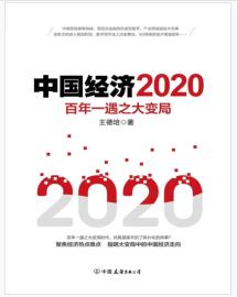 《中国经济2020：百年一遇之大变局》王德培mobi+epub+azw3+pdf+txt+word电子书下载