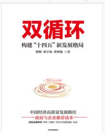 《双循环：构建“十四五”新发展格局》樊纲mobi+epub+azw3+pdf+txt+word电子书下载