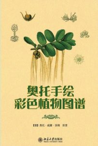 《奥托手绘彩色植物图谱》[德]奥托•威廉•汤姆 (作者) -epub+azw3