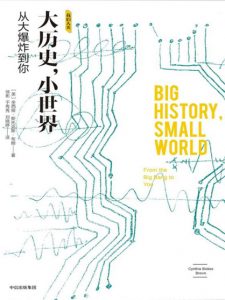 《大历史,小世界:从大爆炸到你》[美]辛西娅·斯托克斯·布朗（作者）-epub+mobi+azw3