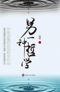 《另一种哲学》唐逍(作者)-epub+azw3