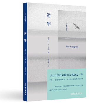 游隼(pdf+txt+epub+azw3+mobi电子书在线阅读下载)