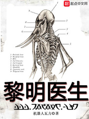 《黎明医生(瘟疫医生)》（校对版全本）作者：机器人瓦力