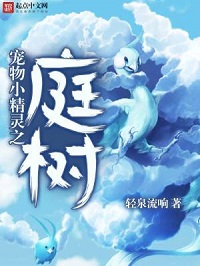 《宠物小精灵之庭树》（校对版全本）作者：轻泉流响