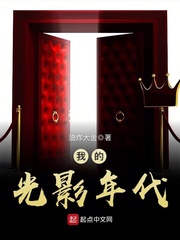 《我的光影年代》（整理版全本）作者: 油炸大金