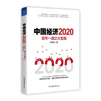 中国经济2020(pdf+txt+epub+azw3+mobi电子书在线阅读下载)