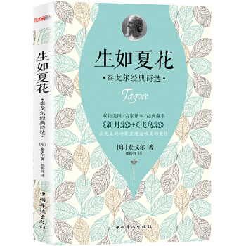 泰戈尔经典诗选(pdf+txt+epub+azw3+mobi电子书在线阅读下载)