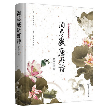 淘尽盛唐好诗(pdf+txt+epub+azw3+mobi电子书在线阅读下载)