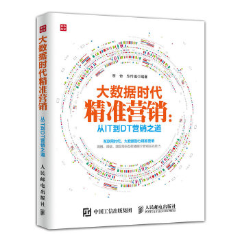 大数据时代精准营销：从IT到DT营销之道(pdf+txt+epub+azw3+mobi电子书在线阅读下载)