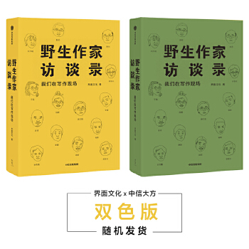 野生作家访谈录：我们在写作现场(pdf+txt+epub+azw3+mobi电子书在线阅读下载)