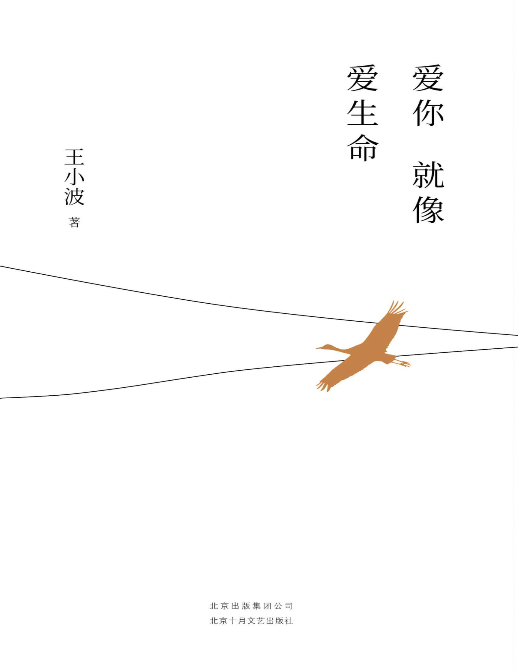 《王小波：爱你就像爱生命》王小波_李银河独家授权，亲自校订全稿。朱一龙夏日推荐书单，独家首次曝光王小波写在五线谱上的情书和亲笔书信照片_文字版_pdf电子书下载