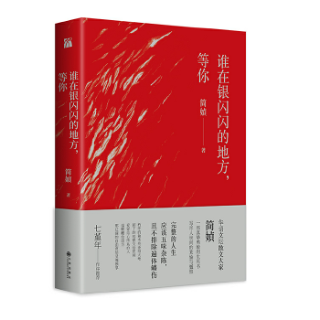 谁在银闪闪的地方，等你(pdf+txt+epub+azw3+mobi电子书在线阅读下载)