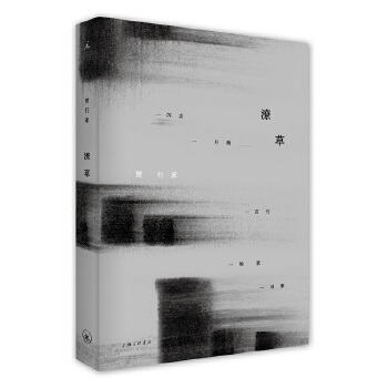 潦草(pdf+txt+epub+azw3+mobi电子书在线阅读下载)