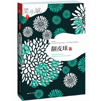 翻皮球(pdf+txt+epub+azw3+mobi电子书在线阅读下载)