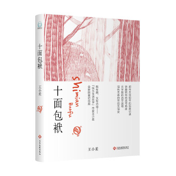 十面包袱(pdf+txt+epub+azw3+mobi电子书在线阅读下载)