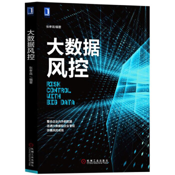 大数据风控(pdf+txt+epub+azw3+mobi电子书在线阅读下载)