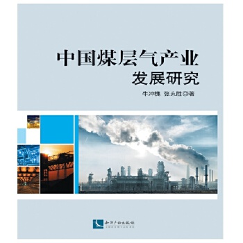中国煤层气产业发展研究(pdf+txt+epub+azw3+mobi电子书在线阅读下载)