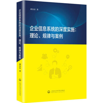 企业信息系统的深度实施：理论、规律与案例(pdf+txt+epub+azw3+mobi电子书在线阅读下载)