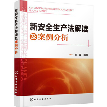 新安全生产法解读及案例分析(pdf+txt+epub+azw3+mobi电子书在线阅读下载)