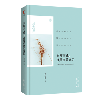 刹那有你世界皆示光芒(pdf+txt+epub+azw3+mobi电子书在线阅读下载)
