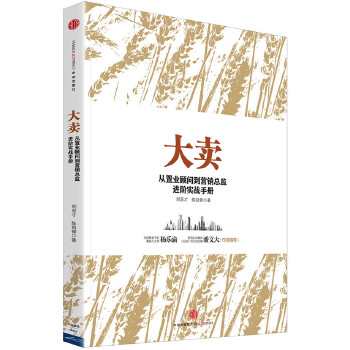大卖:从置业顾问到营销总监进阶实战手册(pdf+txt+epub+azw3+mobi电子书在线阅读下载)