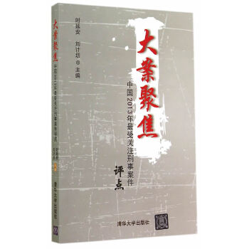 大案聚焦——中国2013年最受关注刑事案件评点(pdf+txt+epub+azw3+mobi电子书在线阅读下载)