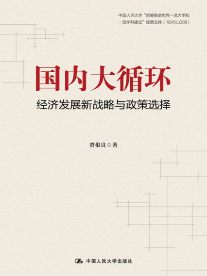 国内大循环:经济发展新战略与政策选择「pdf-epub-mobi-txt-azw3」