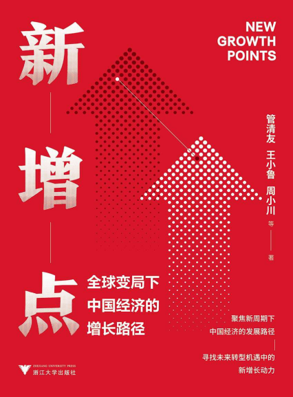新增点 : 全球变局下中国经济的增长路径「pdf-epub-mobi-txt-azw3」