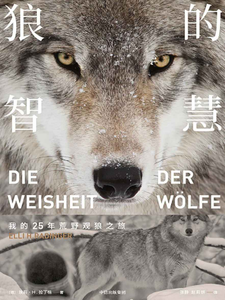 狼的智慧「pdf-epub-mobi-txt-azw3」