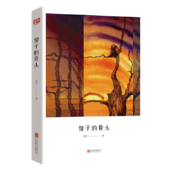 傻子的骨头(写的是虚构,说的却是你我的人生,扣人心弦,万千读者不看到结局就停不下来)(pdf+txt+epub+azw3+mobi电子书在线阅读下载)