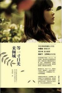 《等一寸日光来倾城》林桑榆（作者）-epub+mobi+azw3