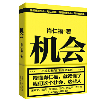 机会(pdf+txt+epub+azw3+mobi电子书在线阅读下载)