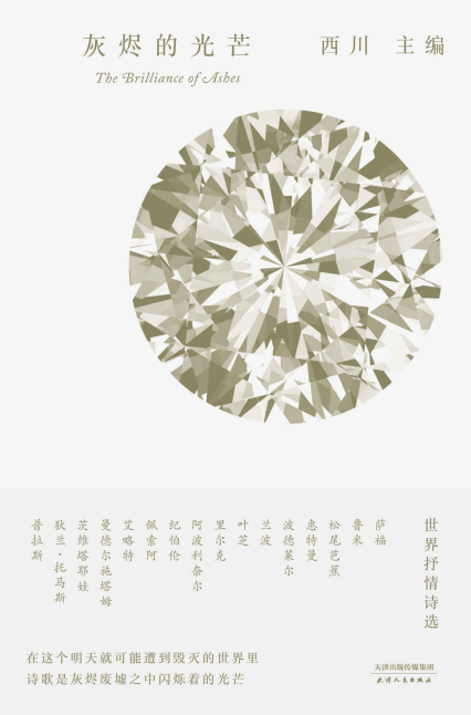 灰烬的光芒「pdf-epub-mobi-txt-azw3」