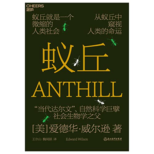 蚁丘