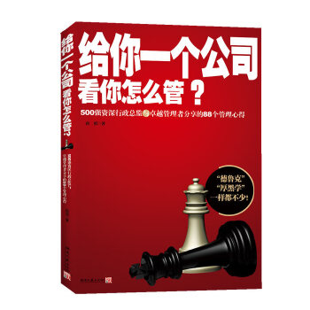 给你一个公司，看你怎么管(pdf+txt+epub+azw3+mobi电子书在线阅读下载)