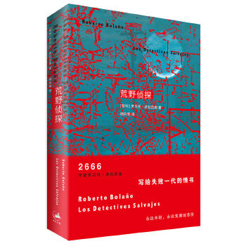 荒野侦探(pdf+txt+epub+azw3+mobi电子书在线阅读下载)