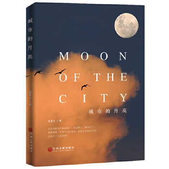 城市的月亮(pdf+txt+epub+azw3+mobi电子书在线阅读下载)