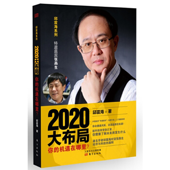 2020大布局(pdf+txt+epub+azw3+mobi电子书在线阅读下载)