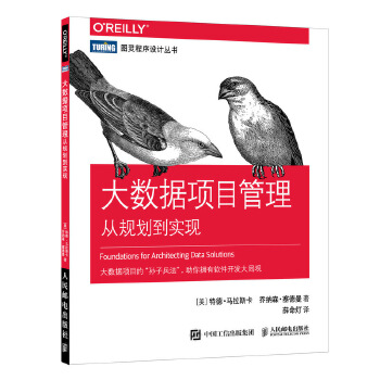 大数据项目管理-从规划到实现(pdf+txt+epub+azw3+mobi电子书在线阅读下载)