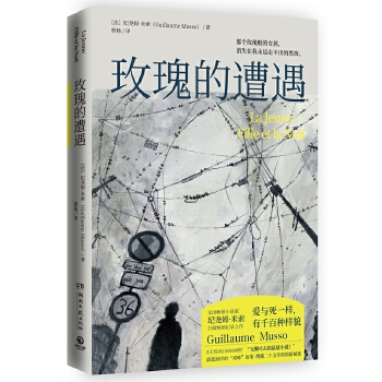 玫瑰的遭遇(pdf+txt+epub+azw3+mobi电子书在线阅读下载)