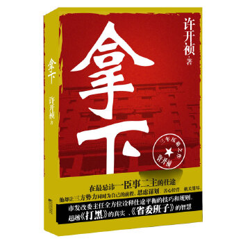 拿下(pdf+txt+epub+azw3+mobi电子书在线阅读下载)