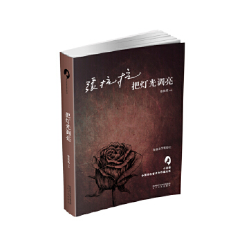 把灯光调亮(pdf+txt+epub+azw3+mobi电子书在线阅读下载)