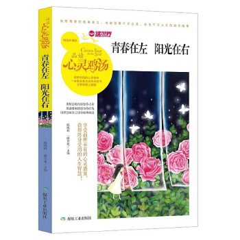青春在左，阳光在右(pdf+txt+epub+azw3+mobi电子书在线阅读下载)
