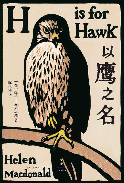 以鹰之名「pdf-epub-mobi-txt-azw3」