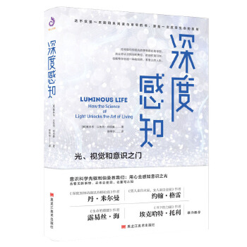 深度感知(pdf+txt+epub+azw3+mobi电子书在线阅读下载)