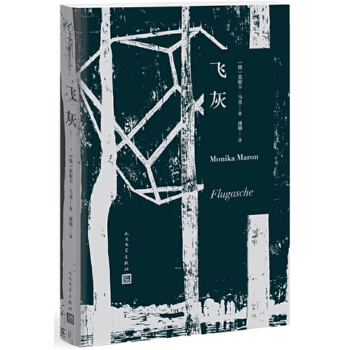 飞灰(pdf+txt+epub+azw3+mobi电子书在线阅读下载)